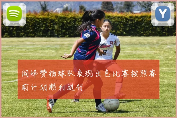 阎峰赞扬球队表现出色比赛按照赛前计划顺利进行