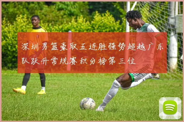 深圳男篮豪取五连胜强势超越广东队跃升常规赛积分榜第三位