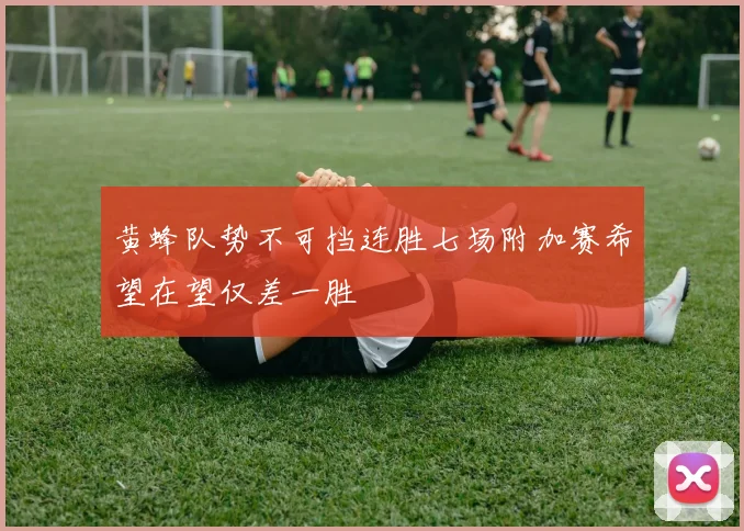 黄蜂队势不可挡连胜七场附加赛希望在望仅差一胜