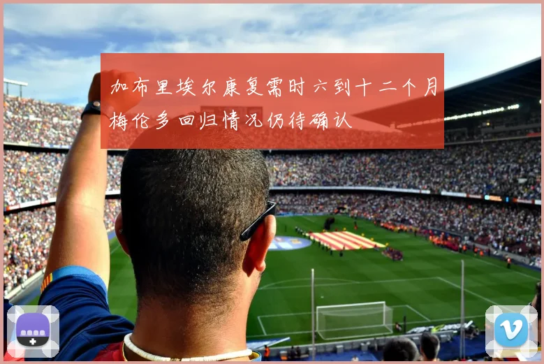 加布里埃尔康复需时六到十二个月梅伦多回归情况仍待确认